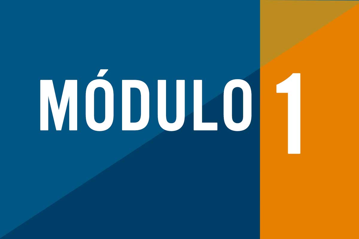 Modulo 1