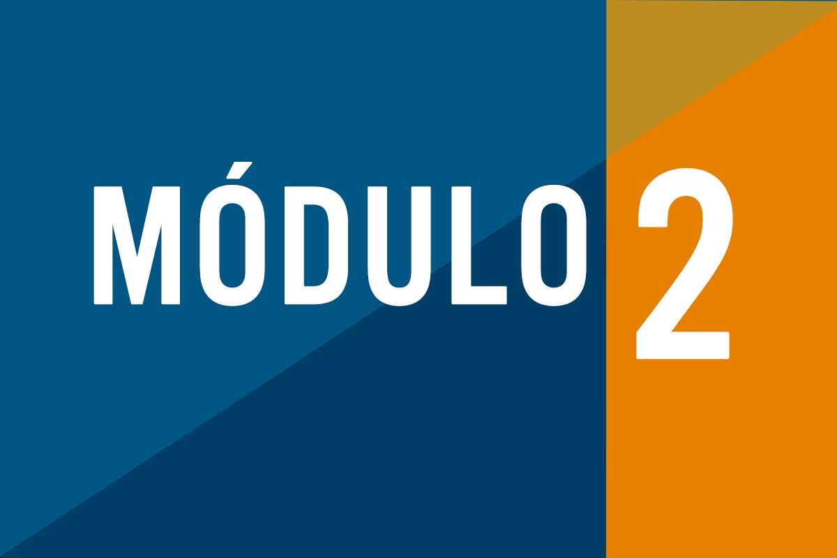 Modulo 2