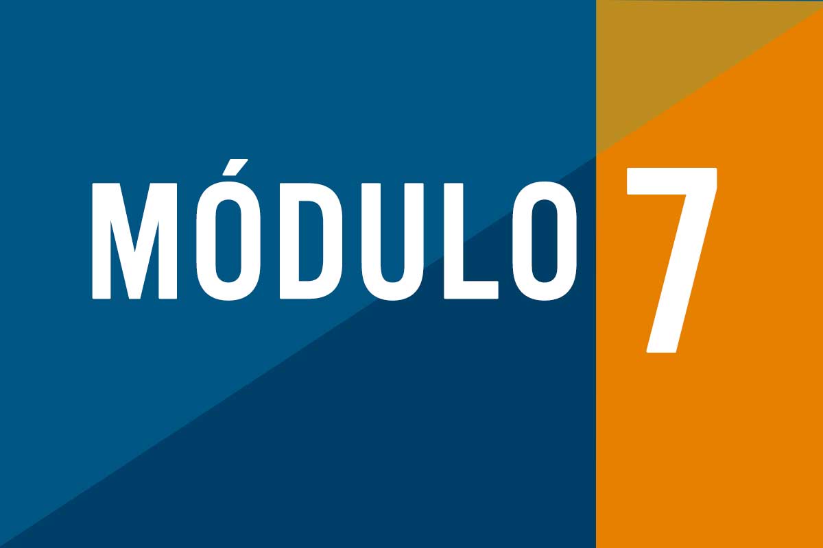 Modulo 7