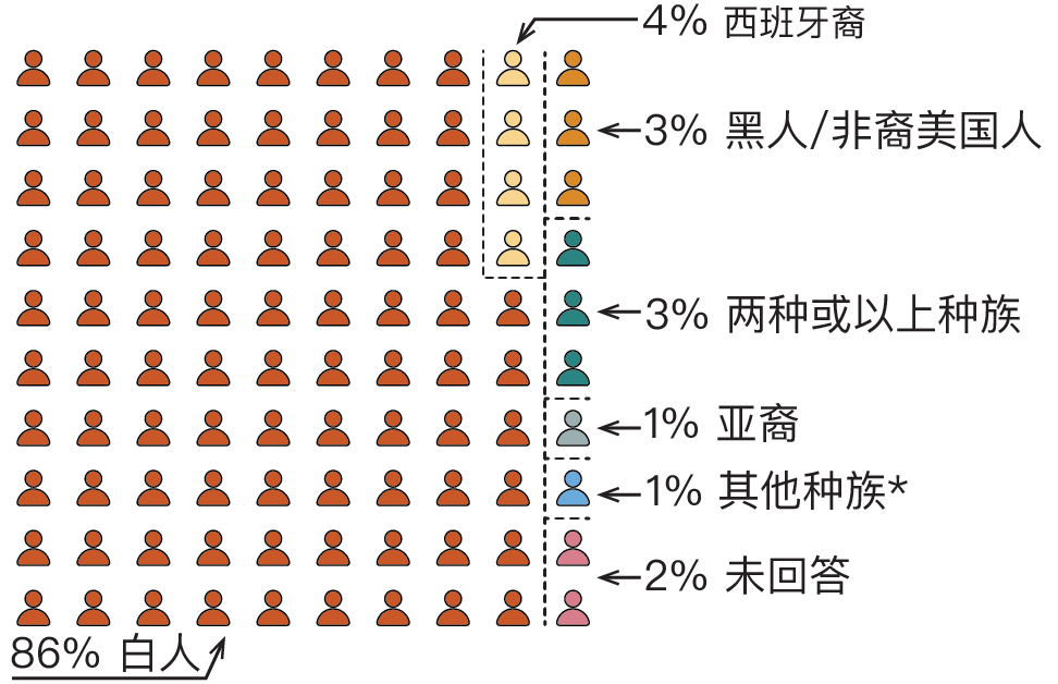 一幅图解,展示了参与调查的专业人士种族和族裔的多样性。